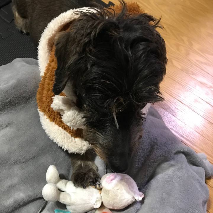 Dce94c45 df20 4074 944e 458ee7e3ab60 1542294372155