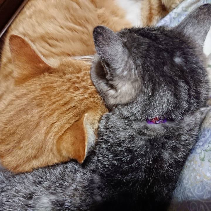 Dce95c77 53b3 4e08 9fdf 7137d0b18b86 1578833420938