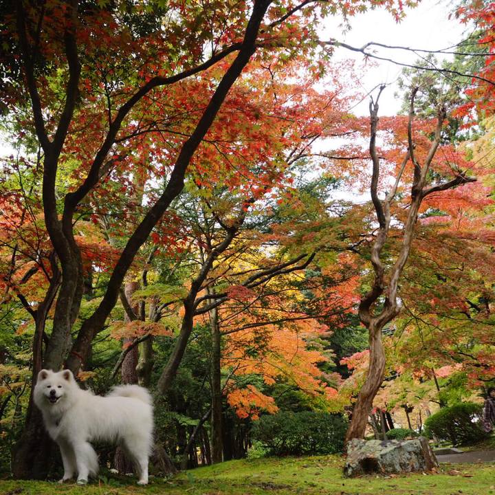 Dce97966 c03e 4681 8e59 748a2f6688bb 1542693430766