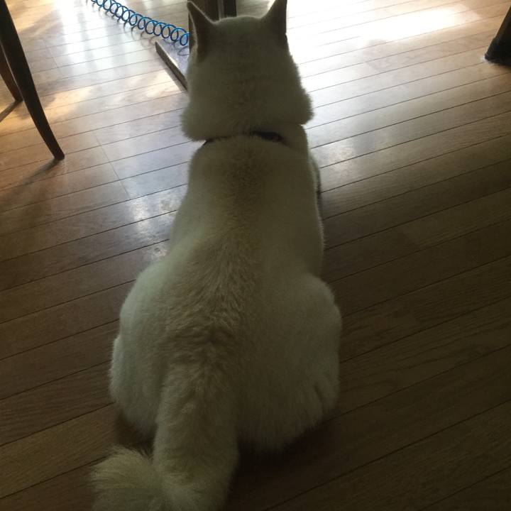 Dce97974 04b5 4635 bb66 3956ccc8415a 1536749819442