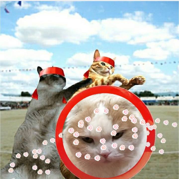 Dce97c5c 7d0b 4218 9c43 37766ded2d03 1572134620034