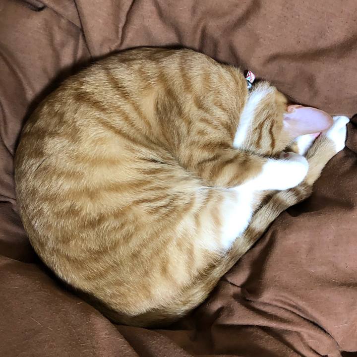 Dce98eb2 bbc5 413c bc06 4ded351f9e9e 1569313194574