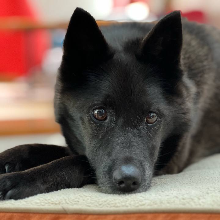 Dce9a3c0 f346 4cee aec0 50a6631095ce 1748855293692