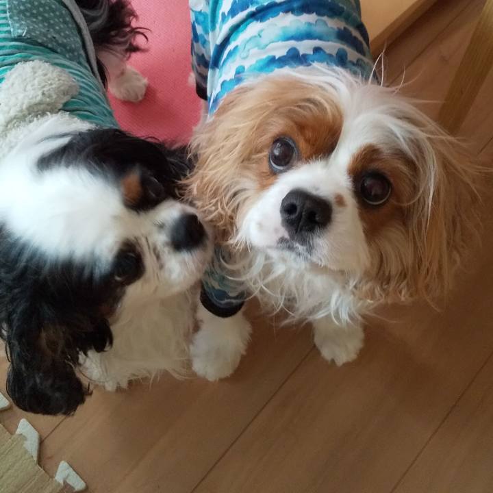 Dce9bbd3 5a9e 453f b5cd 8638a6beb0ab 1620004681383