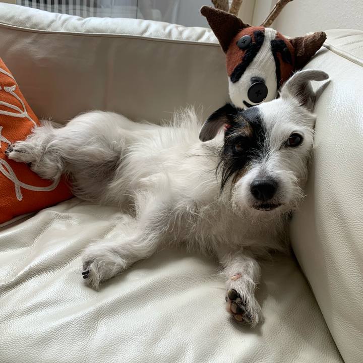 Dce9cdb7 a99f 4e02 b0e6 0640bd0cf6b4 1727662288841