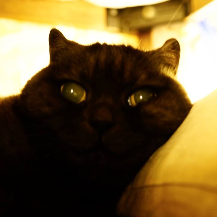 Dce9df41 3078 45d7 9df5 9765b006a8f6 1641225776637