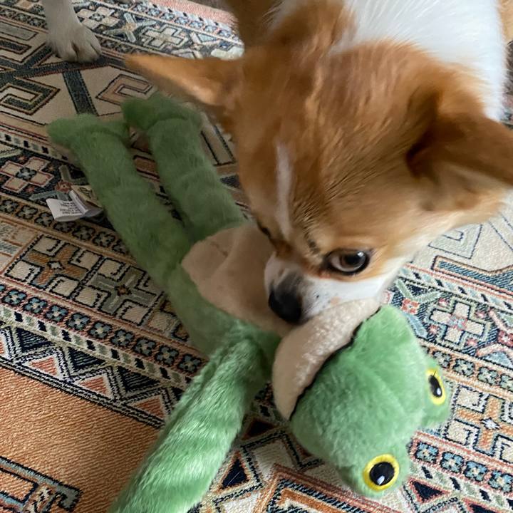 Dce9ed7c 9d60 4ded 95b2 a7a7950ce3e0 1620620927132