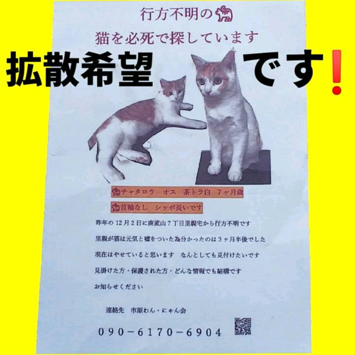 Dce9f487 77e3 4142 8dca 3991641833fd 1558098836315