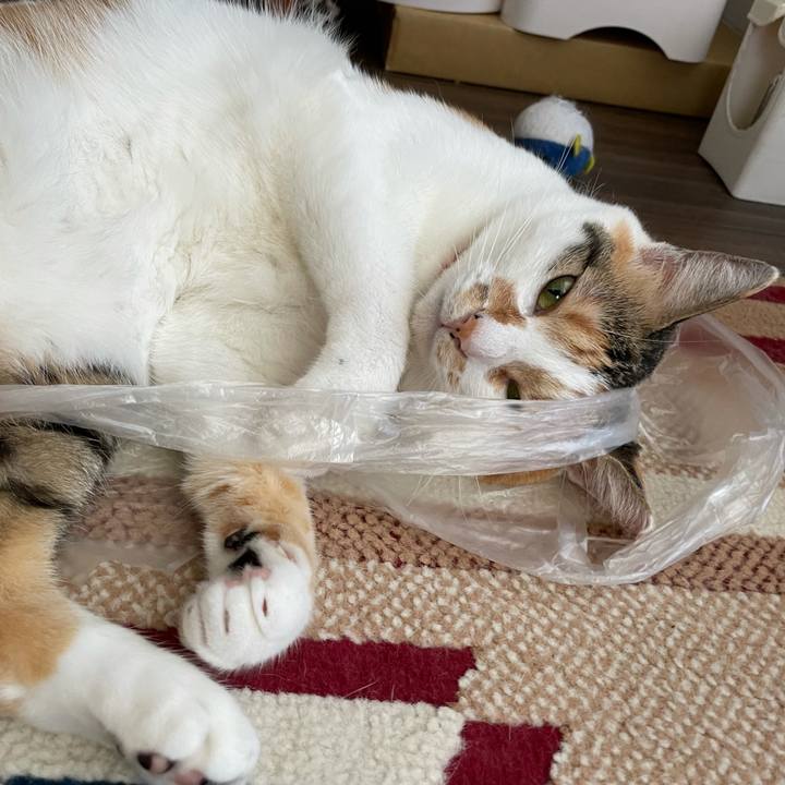 Dcea1644 3598 472c 8f16 bf21e4f8aceb 1627862651858