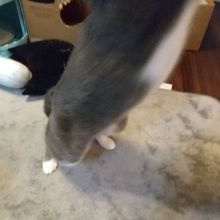 Dcea2e31 e7de 4800 b99c 3b907e75dc8e 1647867000012