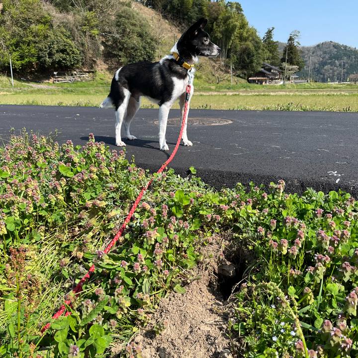 Dcea4ca5 6dfe 4608 b9ed ada309eccdf9 1713097721586