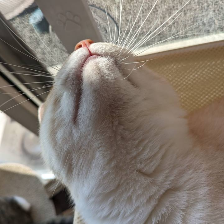 Dceacc33 832c 4681 b8a6 7d18e34058ae 1690847457088