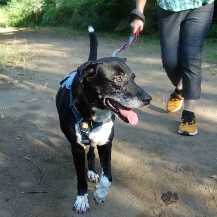 Dceadae8 3dc6 4d3c ab98 b5e1603d9d00 1726189089926