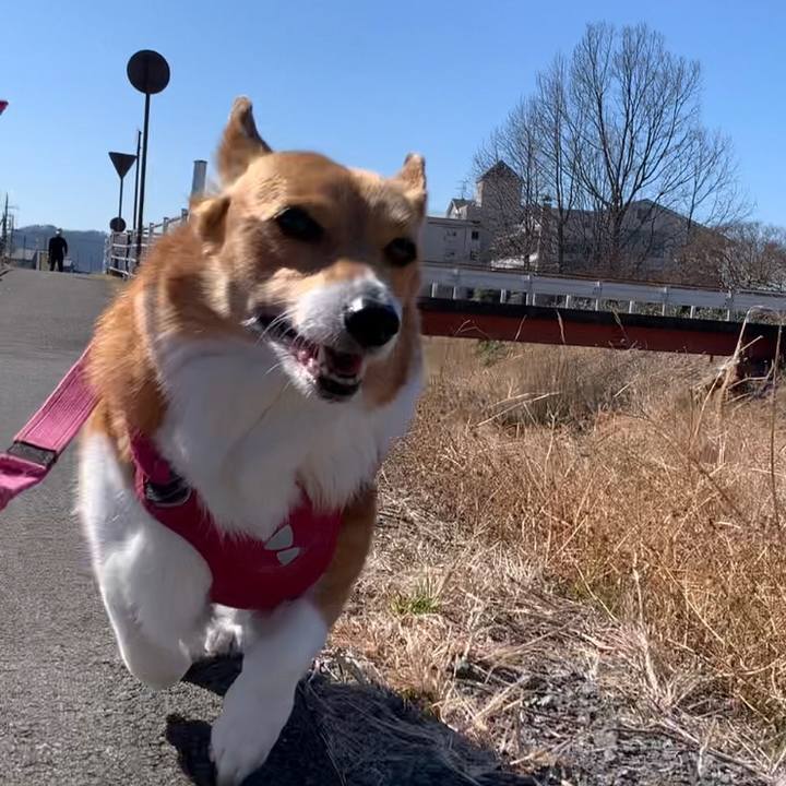 Dceb000b 339b 4266 ba70 98d071879754 1677552507440