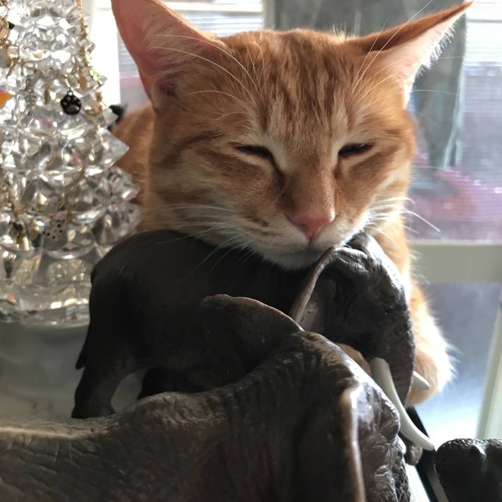 Dceb02d5 00a2 48c3 b3e8 b051a85c3352 1544854754467