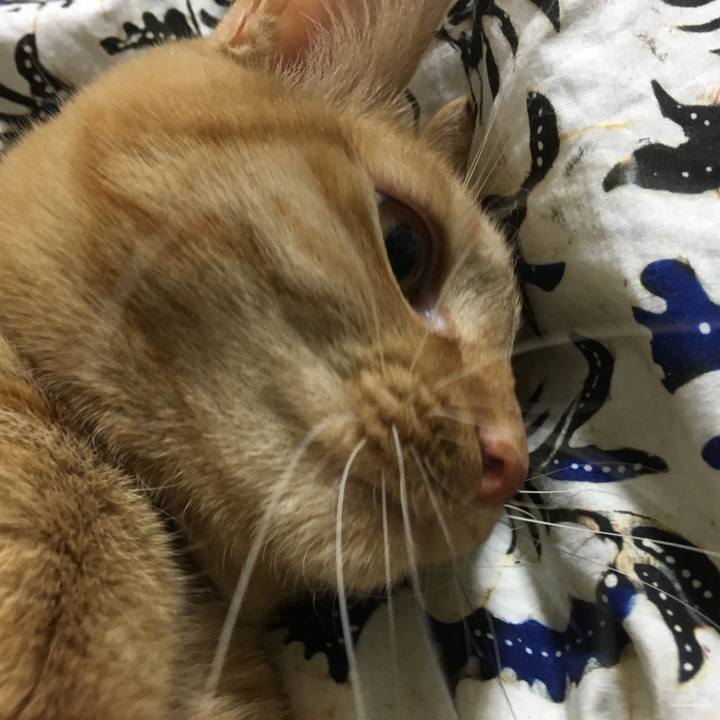 Dceb2214 fb39 4884 9c92 0855b19f3290 1542689978148