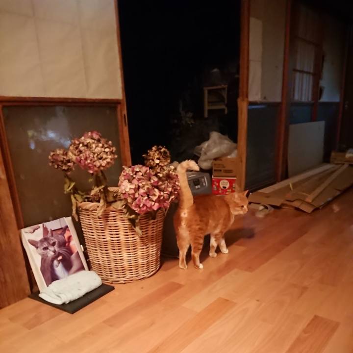 Dceb34a5 c761 4073 8016 984991206d36 1608064762624