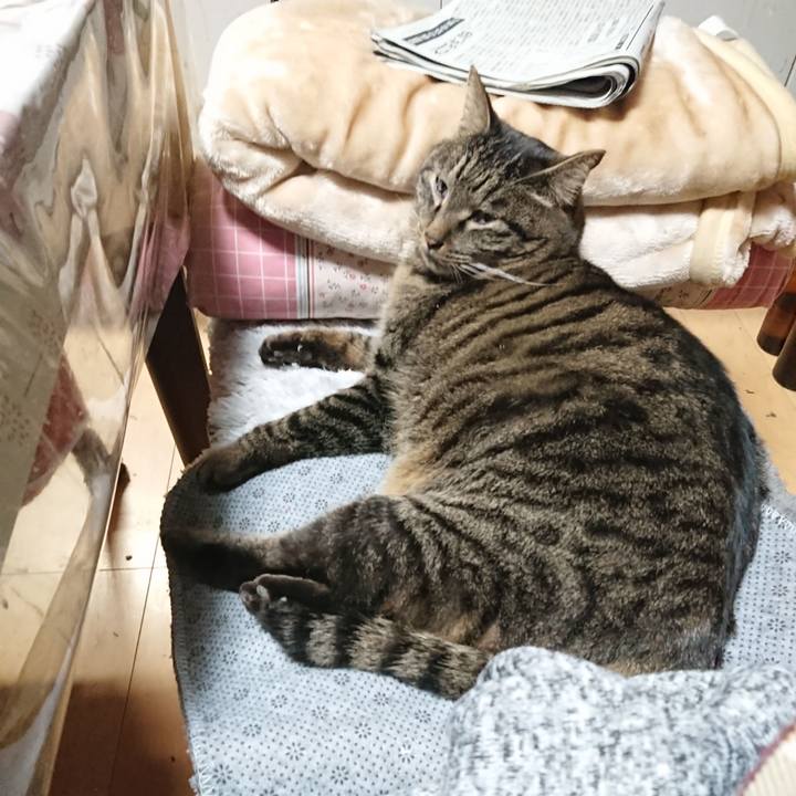 Dceb4b9e 9e85 43fd ab9c 71b609825560 1643850603247