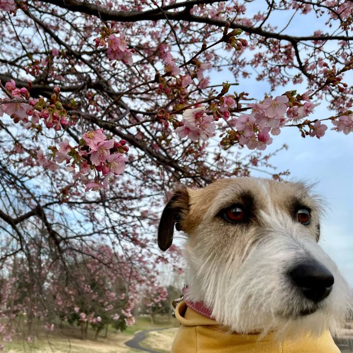 Dceb55fa 8d0d 4769 b895 d68f6566a57a 1677934682462