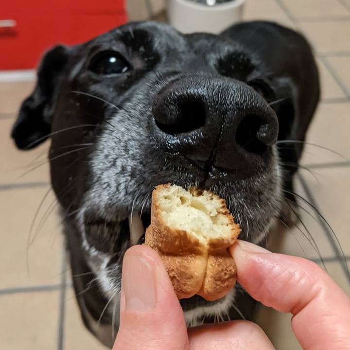 Dceb76e6 3f54 4649 9f1a 777eafcb3b17 1670237922563