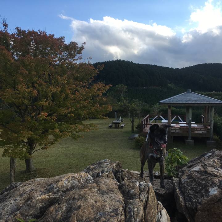 Dcebc94f 89be 4f4c 8940 dce24690e3de 1541122548617