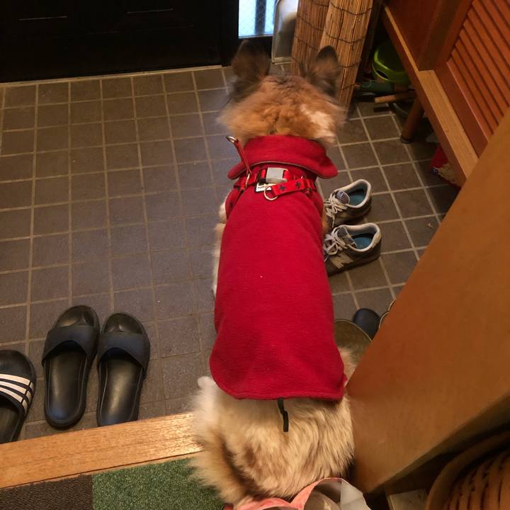 Dcec2bc0 427f 4c60 82fb 70462d4a1fa2 1545828226908