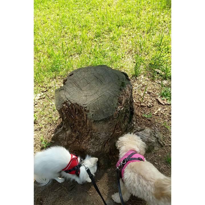 Dcec2dc3 ef89 43de 811c 05311afbb64d 1651843260805