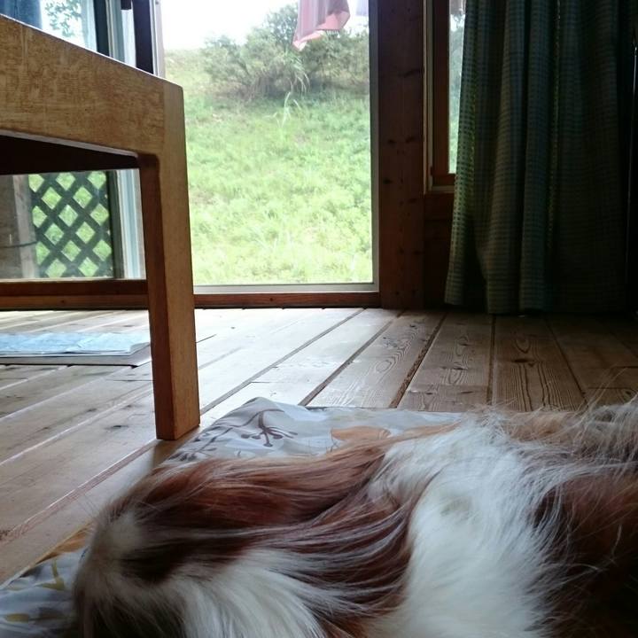 Dcec3f8d 75a1 43b1 a0c2 64fa532fc07c 1567212449219