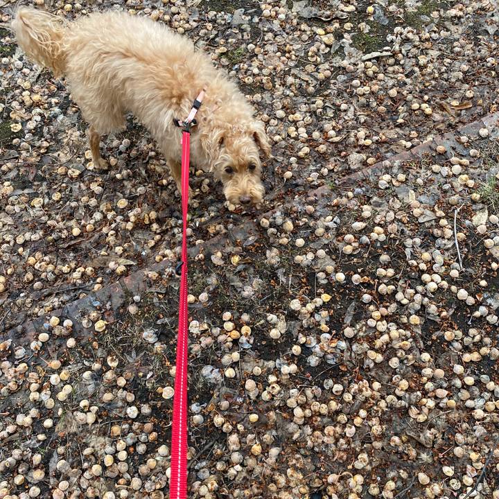 Dcec6db3 d808 4ed1 b098 8a15946d80d4 1649803893439