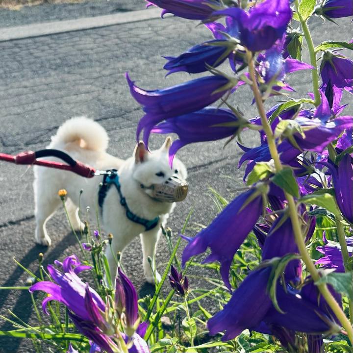 Dcec6e4c 14ea 400f ab51 3ea1ffa8dc54 1750282517080