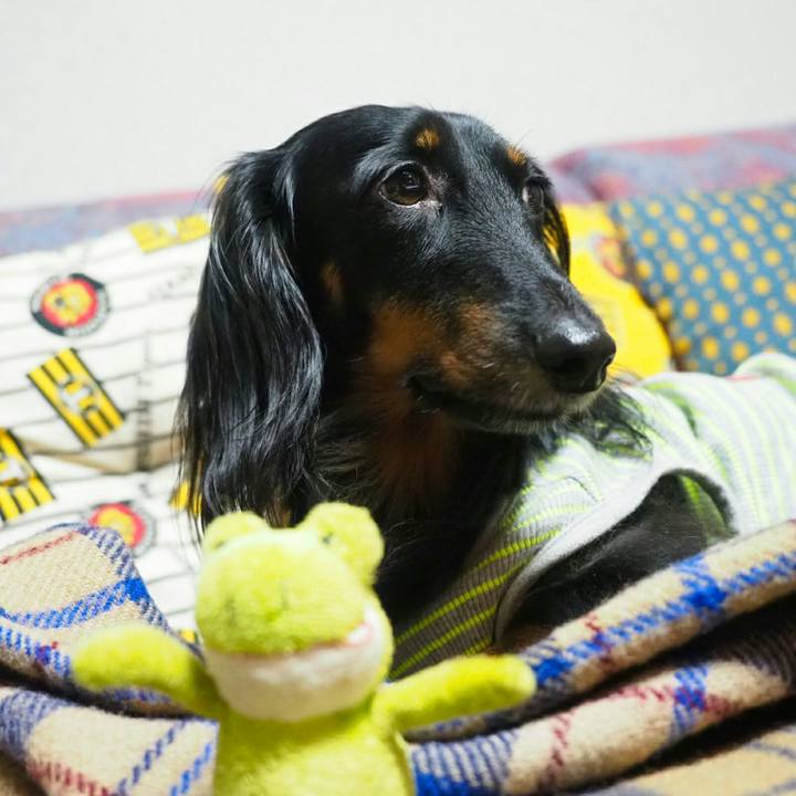 Dcec7d3b 35bd 44e4 b94d 7ec27581fda9 1537508926137