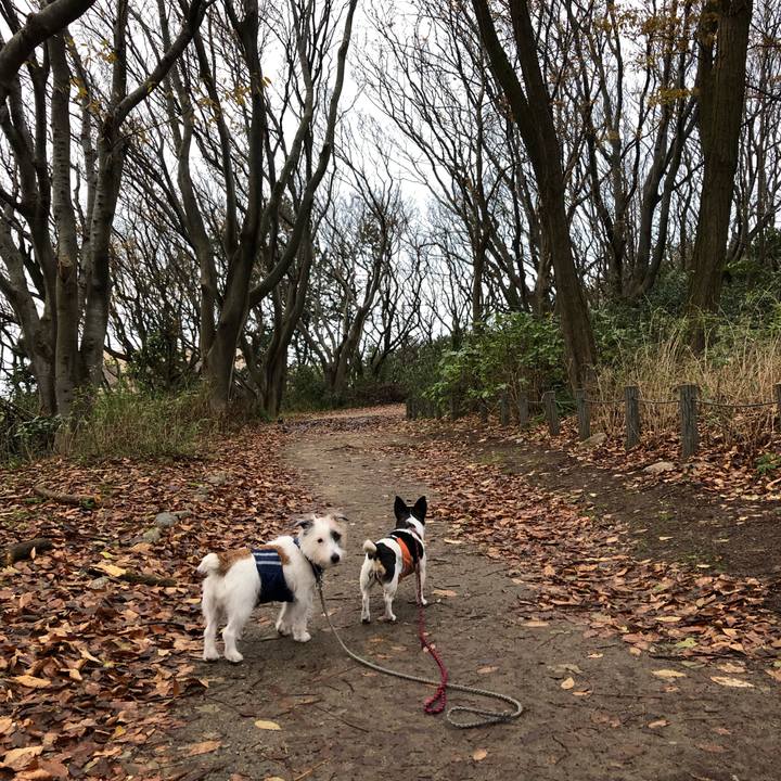 Dcec88be 308d 4e43 9561 98d730aaad62 1545179699310