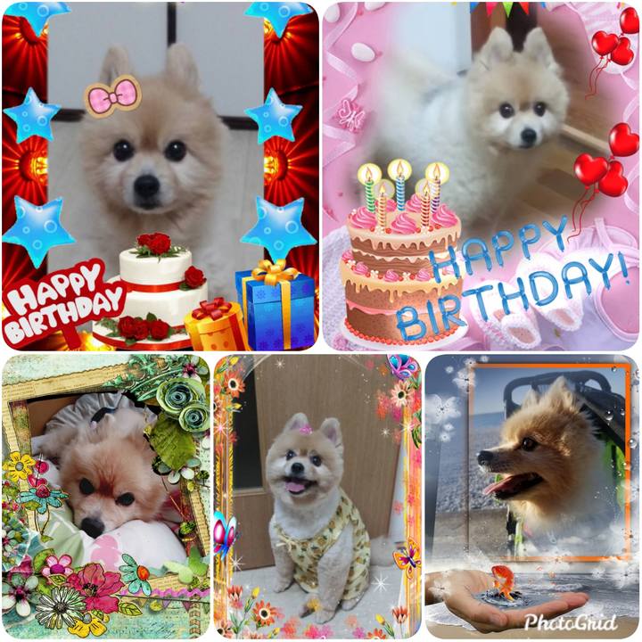 Dcec8977 4322 42ed 94a5 c7ff61359da7 1584631145747