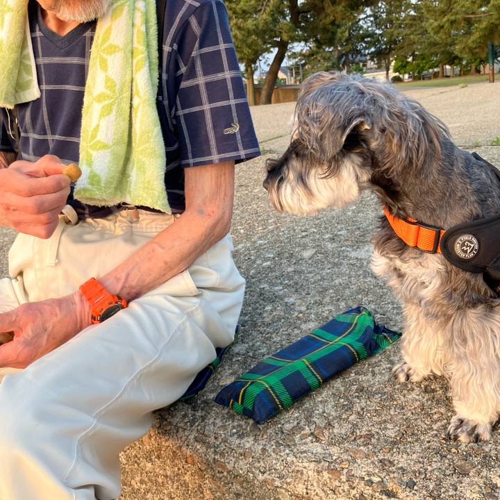 Dcec8c08 8962 4d46 a423 d3d8a2dcd47c 1747750866933