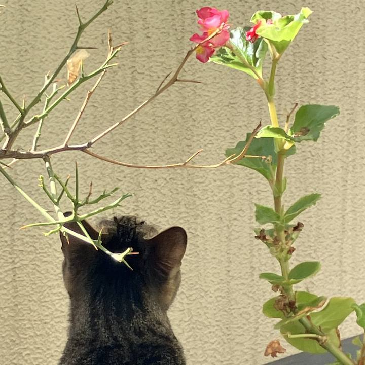 Dcec9a08 481c 45bf 96c8 db5be1aeeccb 1760681634545