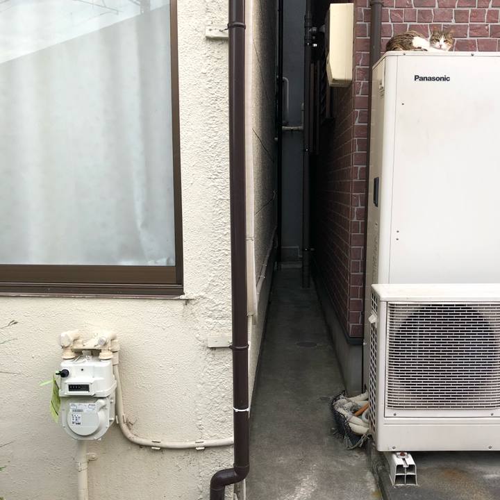 Dceca3cb dd64 427d 9300 bd96b14018dc 1560602725626