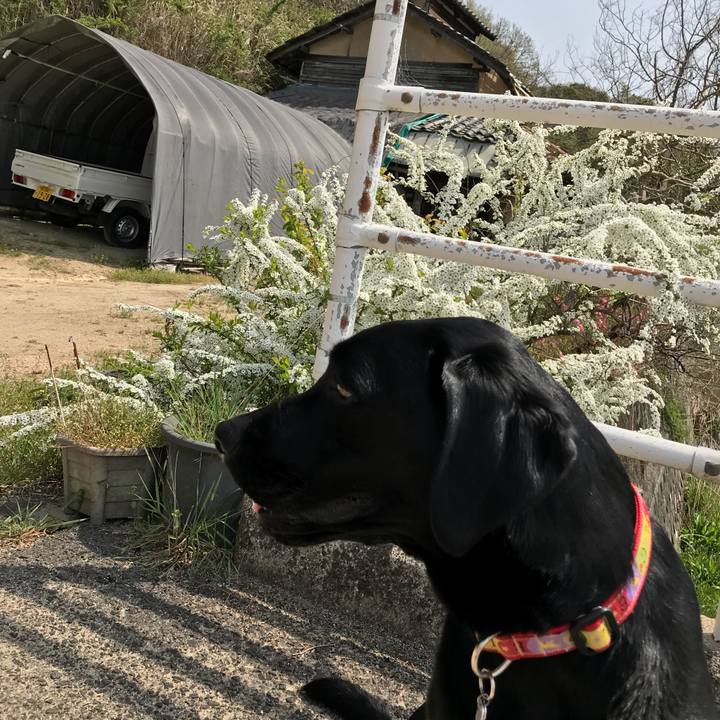 Dcecab07 a0b0 455f 9f73 9e93cfb521ea 1522554213079