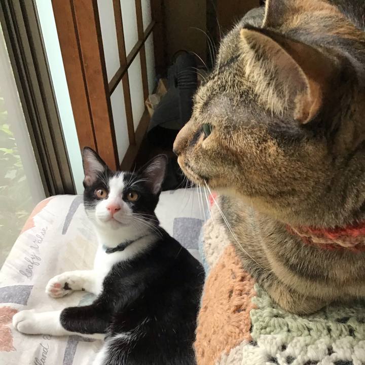 Dcecbc45 6e96 4bb4 92b6 e894f187da1c 1631607236810