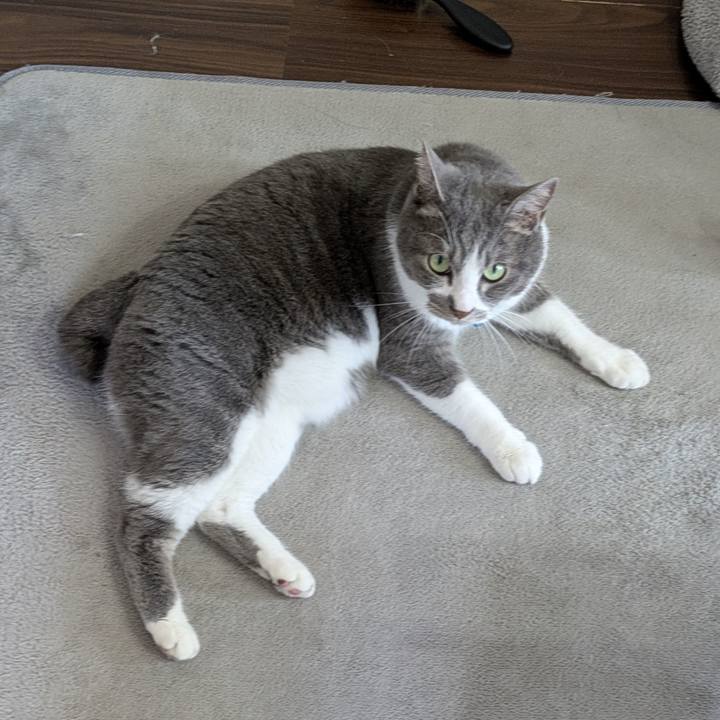 Dcecce22 3063 4a99 96db 929901e36e99 1748389454556