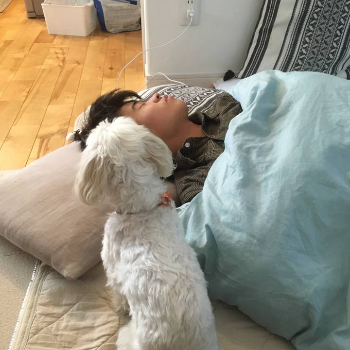 Dced4084 dca4 4f21 9f4f b2c6a7084a0c 1604671595205