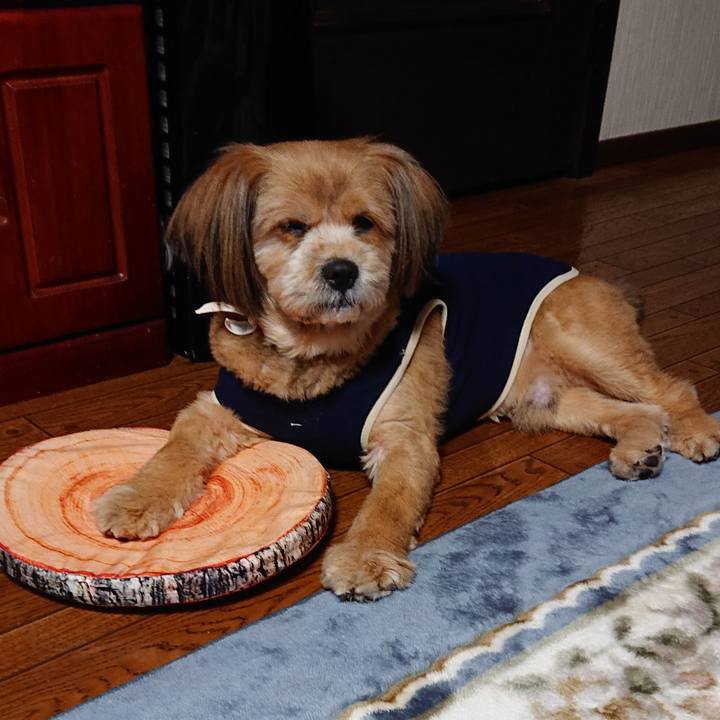 Dced54c6 5849 41cb aa50 da68166e7ded 1582630109417