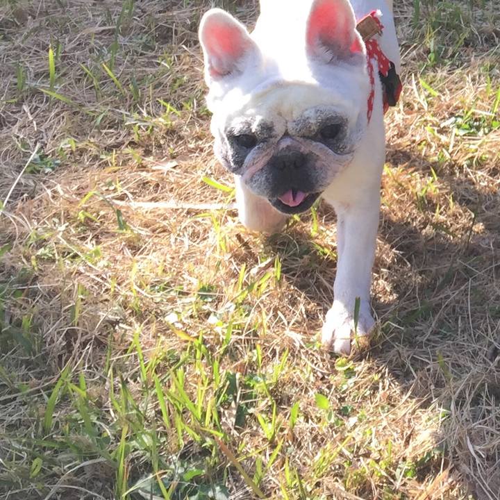 Dced59a0 048a 4ce4 9114 151b2fa57702 1516452946124