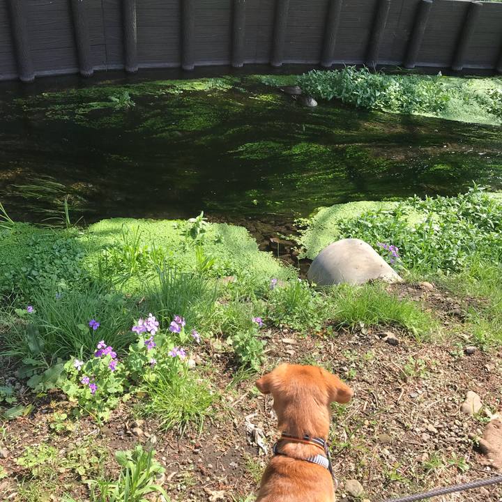 Dced5e84 689b 40cc b2fb 3d7527e64cbd 1522208418066