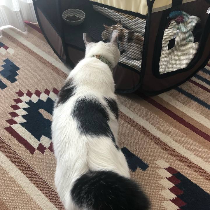 Dcedb5cc 466d 4557 8d25 494d2c2d65ab 1560814254933