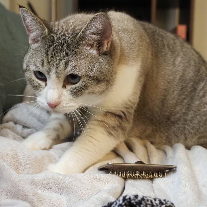 Dcedca19 59d0 4ad2 8892 01ce145b1f86 1626957488102