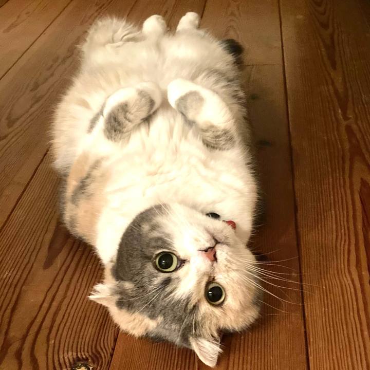 Dcedf117 29ea 42fd bf11 099fe9756563 1641514800826