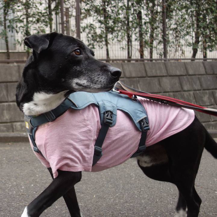 Dcee0ea8 c784 4b22 b720 4af6aa5375b7 1709601379971