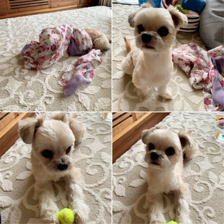 Dcee0f42 64ba 4475 82e9 66f27d1c933b 1552810329637