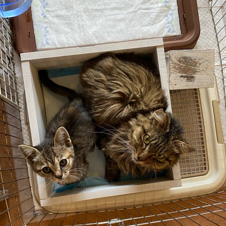 Dcee2a5a 609c 4dfa 9294 2423d4caa665 1654934289228