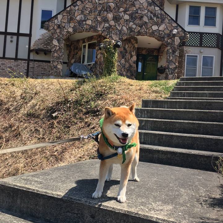 Dcee2fcb 27cf 432e ad0b 2b0c3004224e 1557551703888